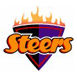 Steers
